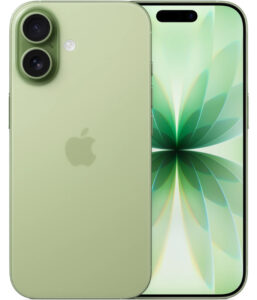 Смартфон Apple iPhone 17 256 ГБ Зеленый Шалфей (eSIM)